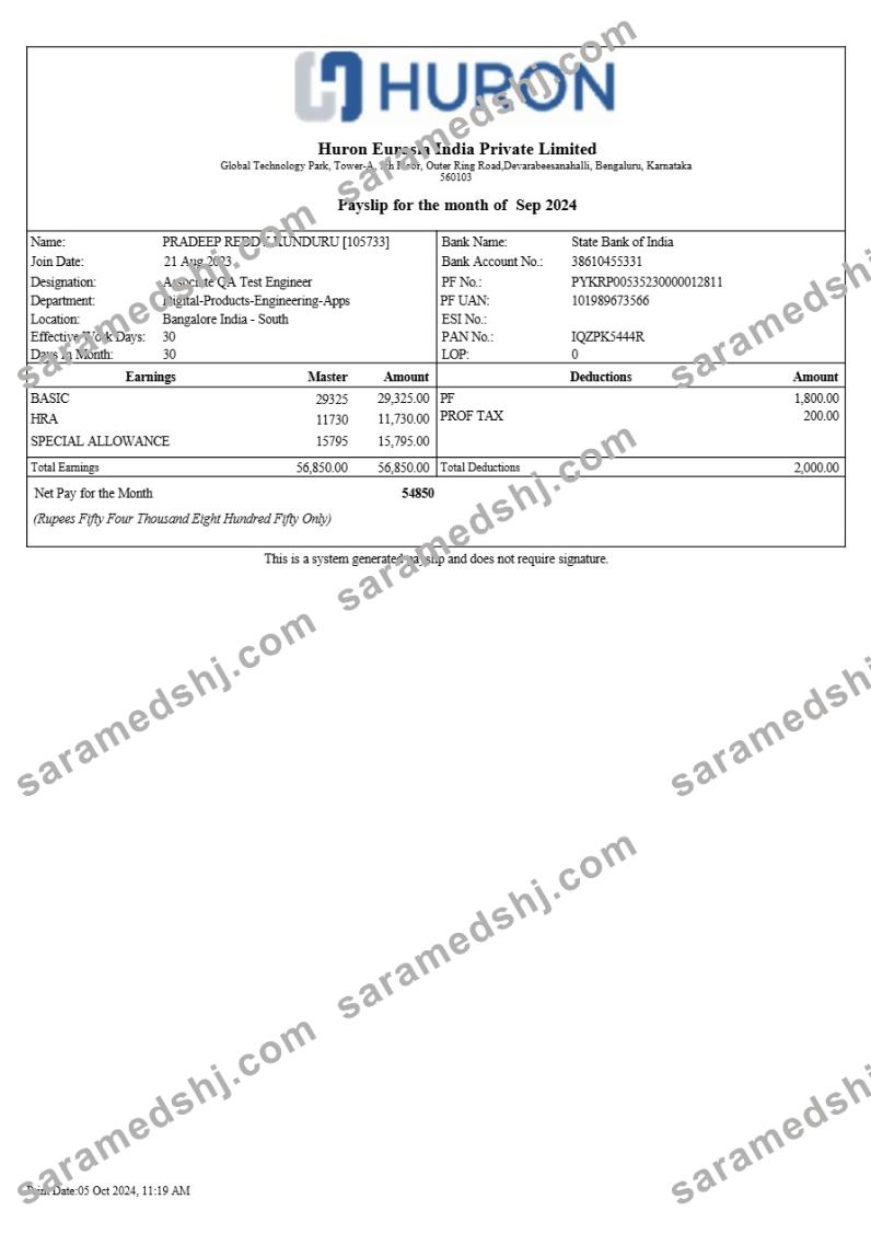 Huron Eurasia India payslip template in Word and PDF formats.pdf, 1